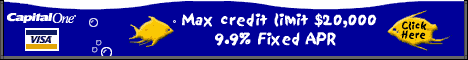 Capital One Visa Platinum - Instant Decision